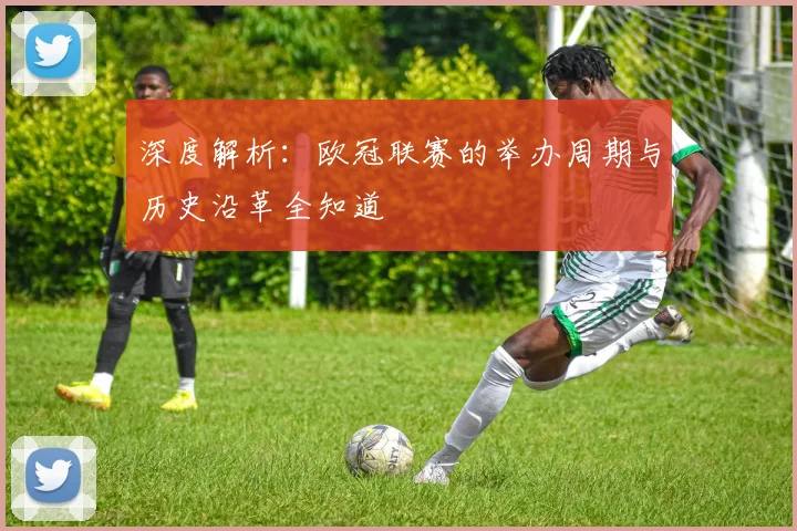 深度解析：欧冠联赛的举办周期与历史沿革全知道